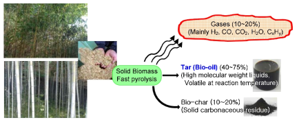 바이오매스의 급속 열분해반응 생성물 분포