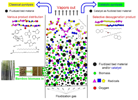 단일 공정에서 바이오매스 촉매 열분해를 생성물의 선택성 향상을 위한 개념