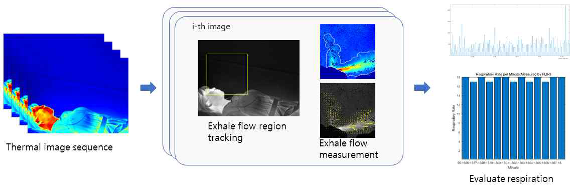 전체 수행과정. 적외선 가스 영상에서 호흡 기류가 발생하는 영역을 찾고 호흡 기류 정보를 분석하여 호흡 정보를 추출하였음