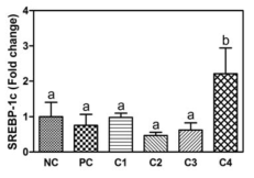 3T3-L1 지방세포에서 울금 추출물의 SREBP-1c 유전자발현 조절 효과 C1, 임실; C2, 산청; C3, 제주; C4, 진도