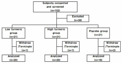 Consort(Consolidated standards of reporting trials) flow diagram