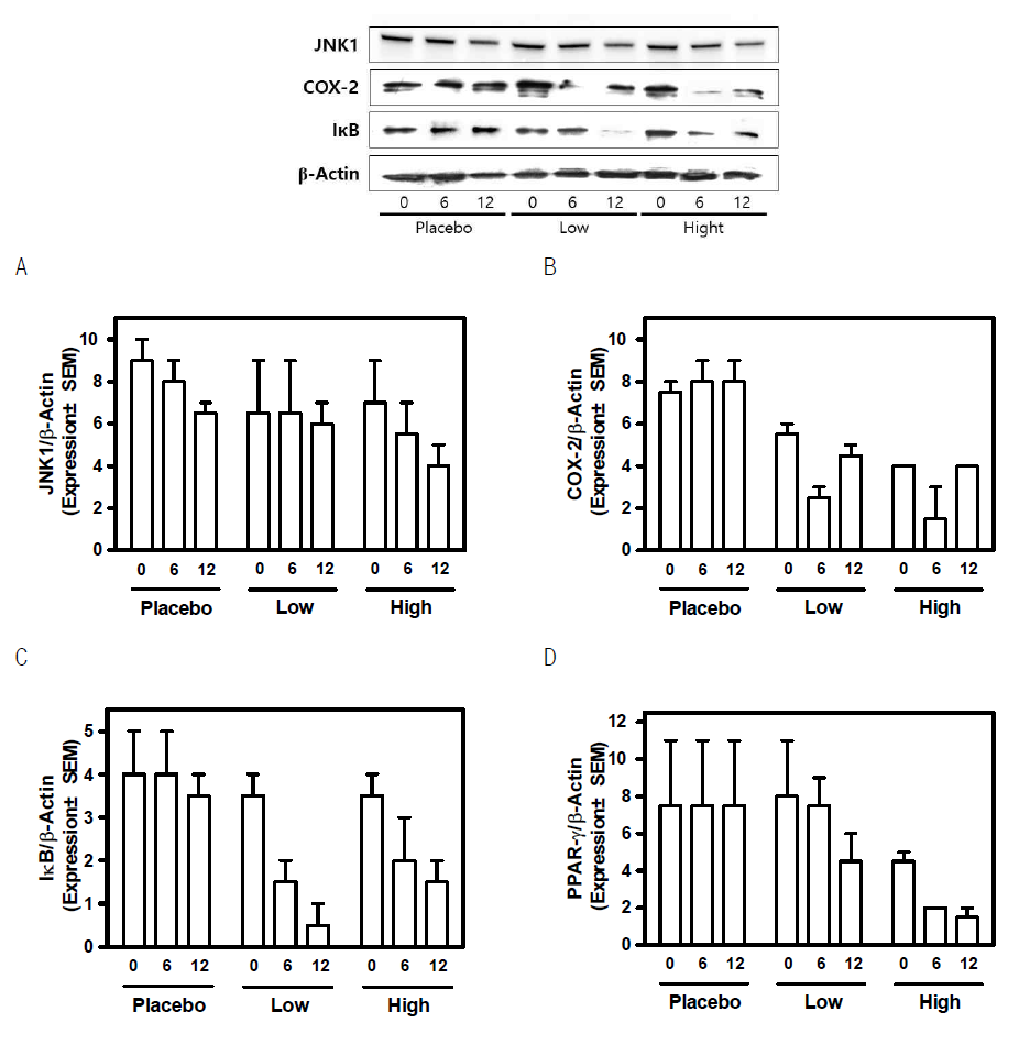 Effect of turmeric supplementation on protein expression A; JNK1, B; COX-2, C; IκB, D; PPAR-γ