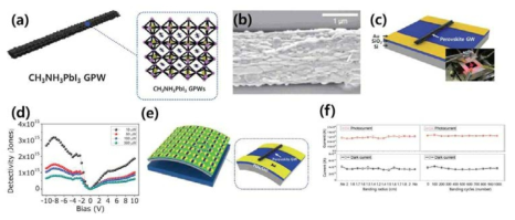 (a) PGW 소재의 모식도 (b) PGW의 SEM 이미지 (c) PGW를 이용하여 제작된 광센서의 모식도 (d) 제작된 광센서의 광감지성능 (e) PGW 기반 유연 광센서 어레이의 모식도 (f) 제작된 어레이의 기계적 굽힘에 대한 감지 성능 그래프