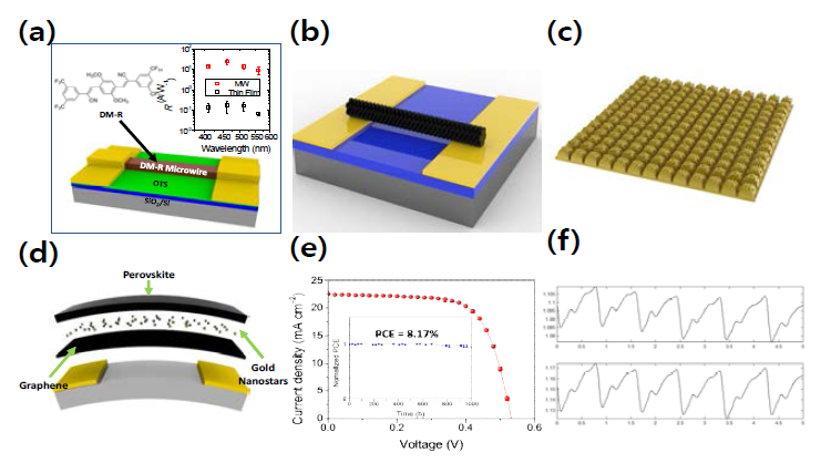 (a) 유기 반도체 단결정 와이어를 활용한 광센서의 모식도, (b) 그래뉼라 페로브스카이트 와이어를 활용한 센서의 모식도, (c) 공간 효율성을 극대화한 이중 격자 패턴 기반 다중 나노 패턴 모식도, (d) 금 나노 스타와 페로브스카이트 광감지층을 도입한 그래핀 센서의 모식도, (e) 디오시아네이트 첨가물을 도입한 주석 기반 페로브스카이트 태양전지의 성능 및 안전성 검사 결과, (f) PPG 신호 감지 시스템을 활용한 PPG 시그널 결과