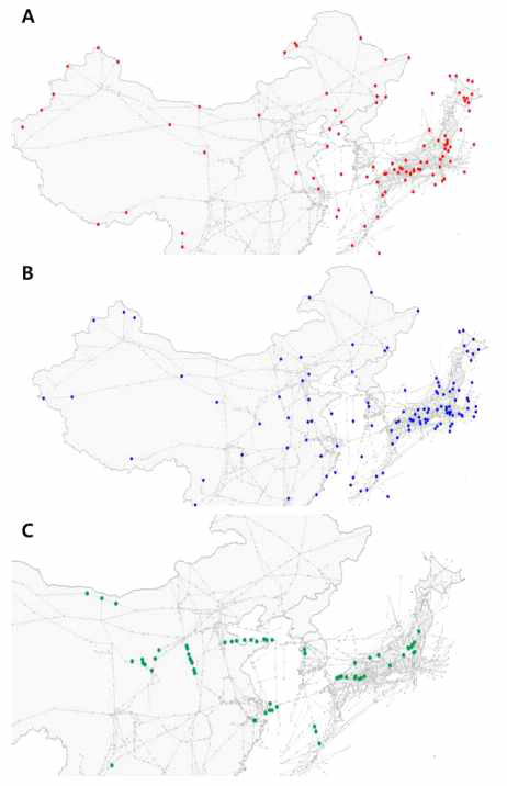 Clustered nodes from selected branches in the mapper output network represented on the Northeast Asian air route segment network