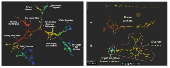 TDA 기반 다차원 데이터 분석 – NBA 플레이어 및 유방암 환자 특성의 topological shape 도출
