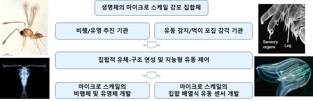 연구 목표