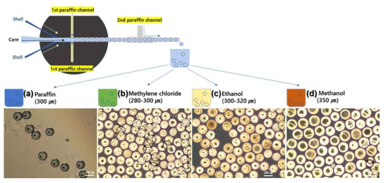 미세유체 시스템 채널을 통과한 Pure PVA 및 방사선 불투과성 미립구 (PVA-Ta)의 회수 용매별 현미경 이미지. (a) 파라핀 용액, (b) 메틸렌클로라이드 용액, (c) 에탄올 용액, (d) 메탄올 용액 (scale bar: 300 ㎛)
