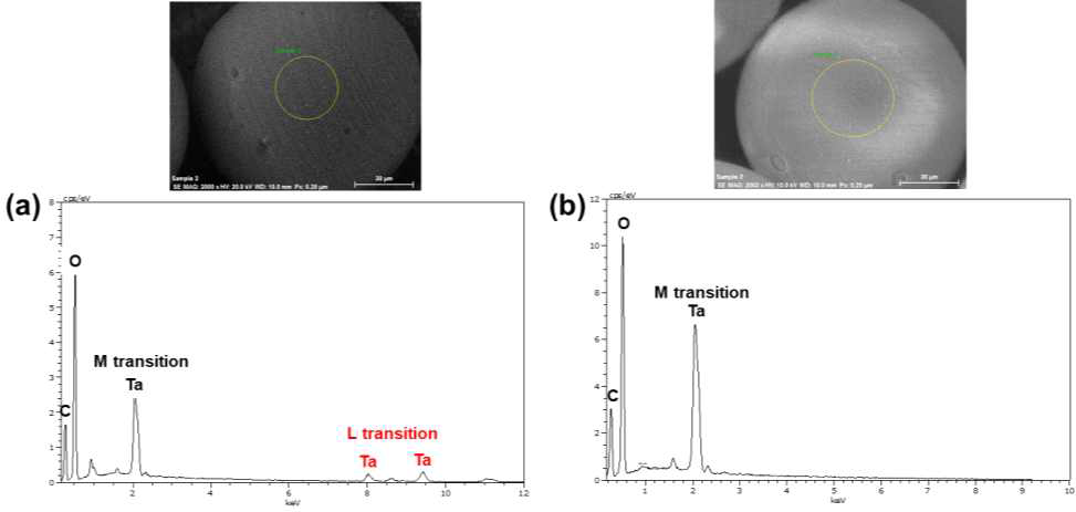 PVA-Ta MS 및 CS 미립구의 SEM/EDX 분석 결과. (a) PVA-Ta MS SEM 이미지 및 EDX 스펙트럼, (b) PVA-Ta CS SEM 이미지 및 EDX 스펙트럼