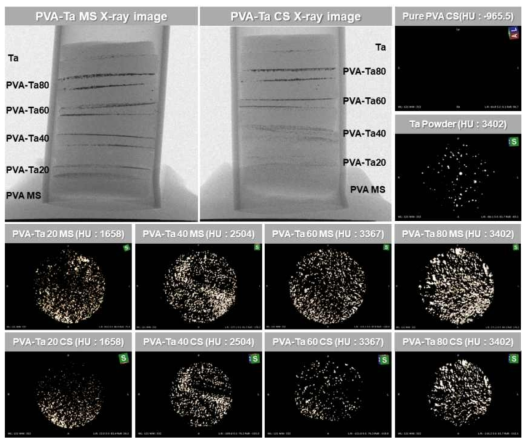 PVA-TA MS 및 CS 미립구의 Micro-CT 분석 결과