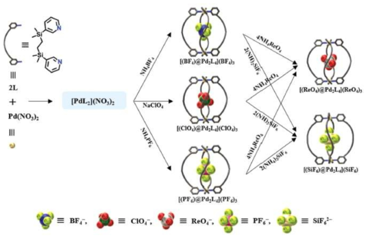 Pd2L4 새장구조 착물의 합성 및 음이온 교환 반응