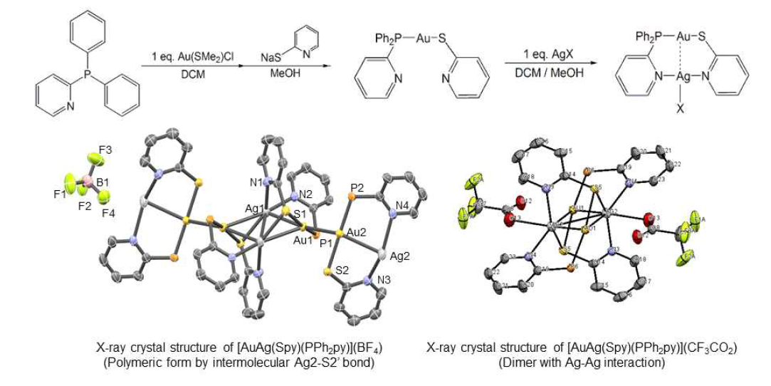 [AuAg(Spy)(PPh2py)](X) (X- = BF4-, CF3CO2-)의 합성 및 결정구조