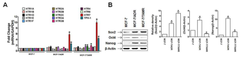 저항성 유방암세포주의 5-HT 수용체, TPH1, stemness transcription factor 발현 차이