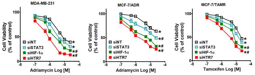 5-HT7, HIF-1α, STAT3 silencing에 의한 저항성 유방암세포의 약물 민감도 회복 효과