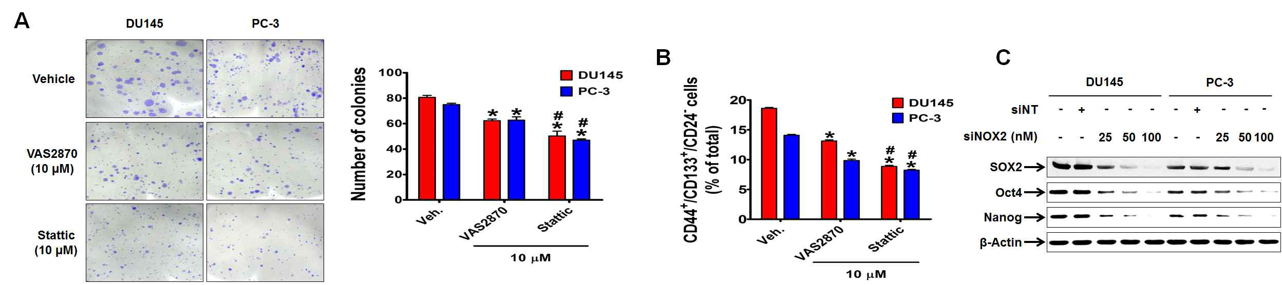 NOX2/4 억제제인 VAS2870에 의한 안드로겐 저항성 전립선암세포 DU145 및 PC-3의 줄기성 억제 효과