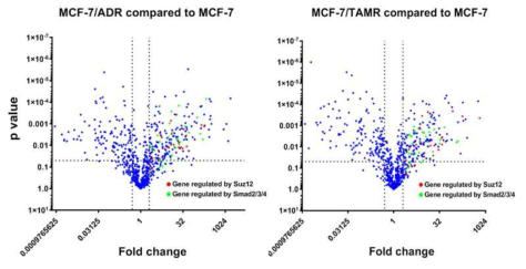 저항성 유방암세포에서 유의성 있는 변화 유전자 군과 SUZ12 및 smad2/3/4와의 연계성