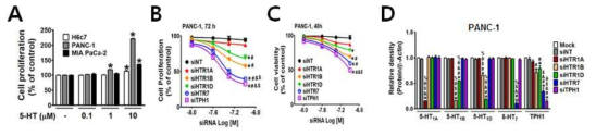 췌장암세포 PANC-1의 증식에 미치는 TPH1 또는 5-HT 수용체 침묵효과