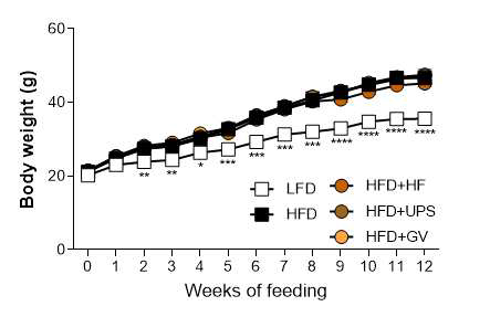 실험식이를 진행한 12주 동안 mouse body weight 변화 (n=6-9 mice/group), *: HFD군과 비교하여 유의적인 차이 (*:p<0.05, **:p<0.01, ***:p<0.001, ****:p<0.0001)
