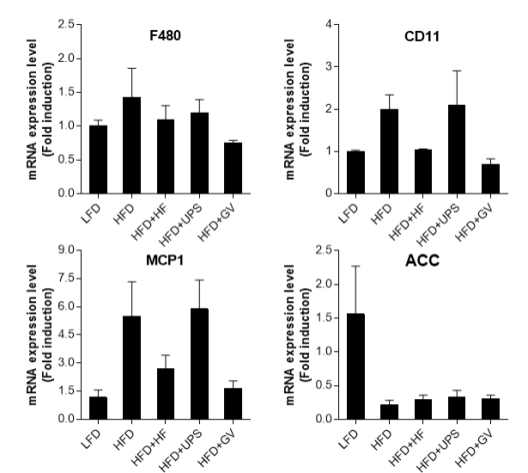해조류 첨가가 갈색지방조직에서 염증과 지방대사 관련 유전자에 미치는 영향 (n=6-9 mice/group) Abbreviations: MCP-1; monocyte chemoattractant protein-1, ACC; acetyl-CoA carboxylase