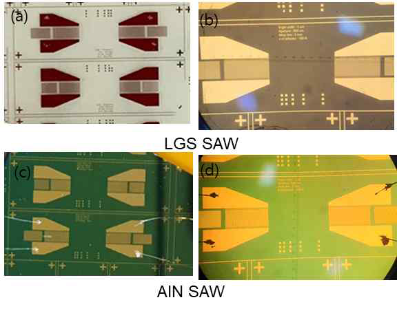 가스 센서용으로 제작된 (a),(b) LGS-SAW 와 (c), (d) AlN-SAW 소자의 사진