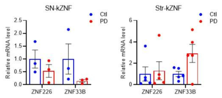 파킨슨 병 환자 흑질 및 선조체 샘플에서 검증한 ZNF226 및 ZNF33B의 전사 수준 (unpublished data)