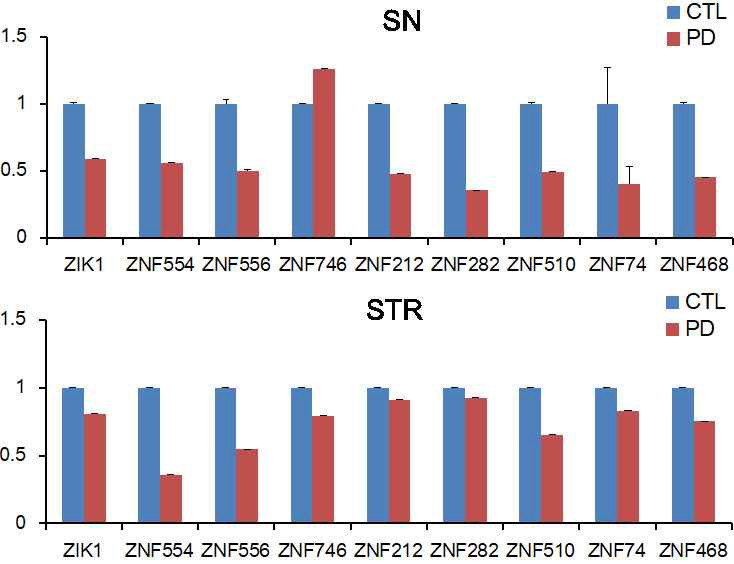 PD 환자 SN, Str KZNF mRNA 변화량