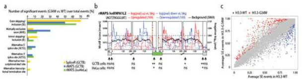 Splicing analysis reveal extensive splicing aberrations. a) SpliceR and rMATS analysis of splicing events with both primary and isogenic HeLa cells indicate that exon skipping/inclusion is the most common significant event when comparing H3.3-WT and -G34W samples. b) Implementation of rMAPS to identify motifs extract hnRNPA1L2 as a significant contributor of upregulated genes in the 5’-end of the target exon (p-value <0.01). c) Scatter plot of all exon skipping/inclusion events in H3.3-WT and -G34W isogenic HeLa cells (colored dots are significant events)