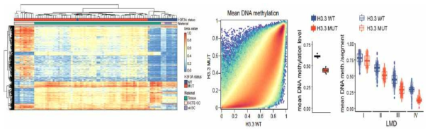 DNA methylation analysis of GCTB samples indicate a distinct separation of WT and G34W (MUT) samples (phylogeny, left). GCTB samples with G34W lose methylation (scatterplot, middle), and we divided areas into large methylated domains (LMD) indicating biggest loss at class IV LMD (boxplot, right)