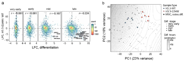 Differentiation of GCTB cells appear to be impaired. a) Correlation between differentiation-associated and H3.3-G34W-associated gene expression changes. The differentiation timepoint groups were: very early: 0.5 to 2 h; early: 4 to 554 16 h, mid: 24 to 168 h; and late: 336 to 504 h). A few genes with the most pronounced changes in both data sets are highlighted. b) Principal component analysis of RNA-Seq data from osteogenic differentiation of MSC (greyscale rectangles) and expression profiles of GCTB samples, H3.3-WT (blue triangles) and H3.3-G34W (red circles)