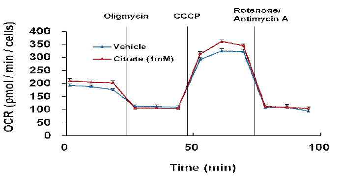 CS처리에 따른 세포내 산소소비량 변화 측정