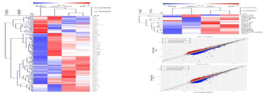 Different gene expression in colonic tissues in the treatment group by RNA-seq analysis