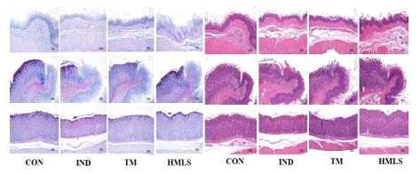 Effect of Mineral water n gastric mucosal histopathological changes