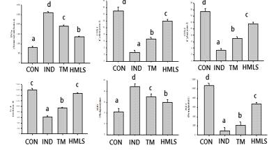 Effect of Mineral water on the expression level of inflammatory marjer mRNA
