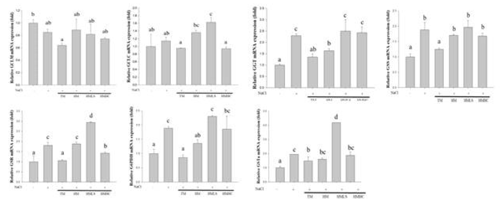 Effect of Mineral water on the Antioxidant Enzyme Gene mRNA Expression in HEK293 cell