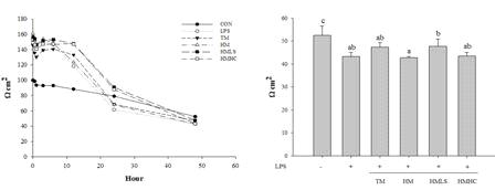 Transepithelial electrical resistance (TEER) measurement