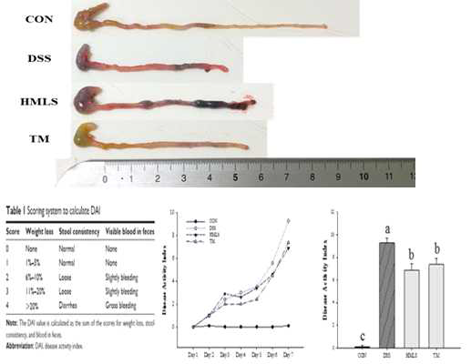 The effect of DSW on clinical symtoms and colon shortening in dss-induced dolitis