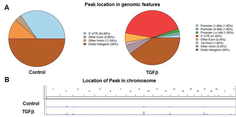 TGF-β처리 후 PDCD5 ChIP sequencing에서 Peak 들의 위치 변화