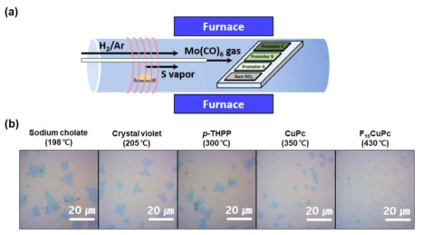 (a) 기체 상태의 전이금속 전구체를 사용하는 화학기상증착법 모식도. (b) 시딩 촉진 물질의 승화점에 따라 달라지는 MoS2 합성 경향