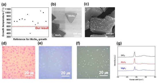 NaSe2O3를 사용한 MoSe2 합성 결과. (a) 기존 연구 대비 합성 온도. (b) 600 ℃ 합성 결과. (c) 780 ℃ 합성 결과. (d) SiO2 기판에서 700 ℃ 합성결과. (e) Al2O3 기판에서 기판에서 700 ℃ 합성결과. (f) MgF2 기판에서 700 ℃ 합성결과. (g) d-f 시료들의 라만 피크 분석 결과