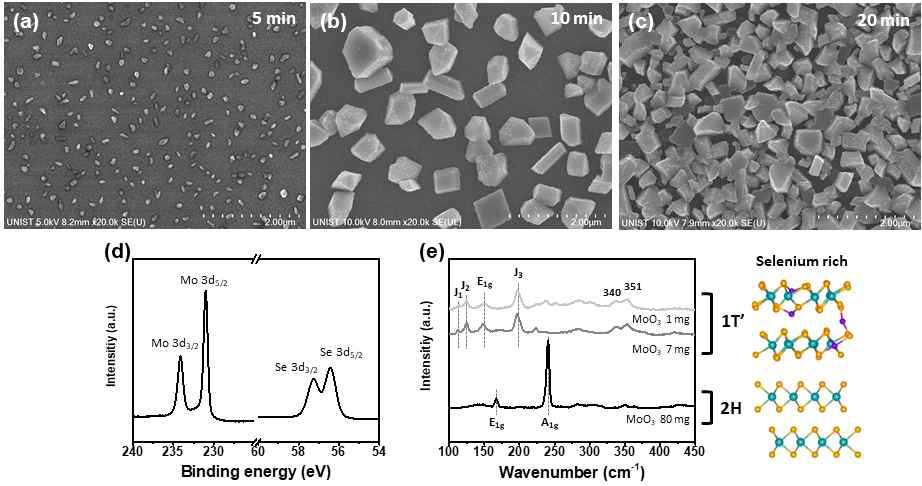 성장시간에 따른 MoSe2의 SEM 이미지 (a) 5분 (b) 10분 and (c) 20분. (d) 20분 성장한 MoSe2의 XPS 측정결과. (e) MoO3 공급량에 따른 MoSe2의 1T’ 및 2H 성장