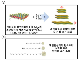 계면활성제를 이용한 TMDC 양자점 합성 개요. (a) 작용기의 결합 에너지 차이를 이용한 층수 및 크기 조절. (b) 계면활성제의 탄소고리 길이에 따른 크기 조절