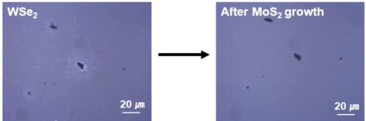MoS2 합성 후 에칭되는 WSe2 표면