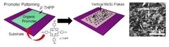 5,10,15,20-tetrakis(4-hydroxyphenyl)-porphyrin (p-THPP) 시딩 촉진물질을 이용한 수직 구조 MoS2 합성 모식도 및 SEM 이미지