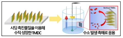 차세대 수소 발생 촉매 응용