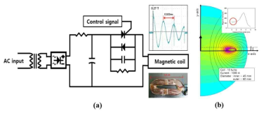 Schematic diagram and time-varying PMF which has maximum peak magnetic field intensity of 2700 G, 5 mm away from coil. The magnetic field pulse duration was 306 μs, including 3 micro-pulses, and pulse repetition rate was 1 Hz