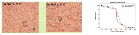 NaCl을 이용하여 적혈구막 용혈현상에 대한 펄스자기장의 효과 검증