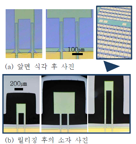 제작된 소자 사진