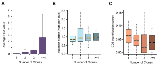 종양 이질성에 따른 전립선특이항원 (PSA), Mutation burden, CD8 면역마커의 차이