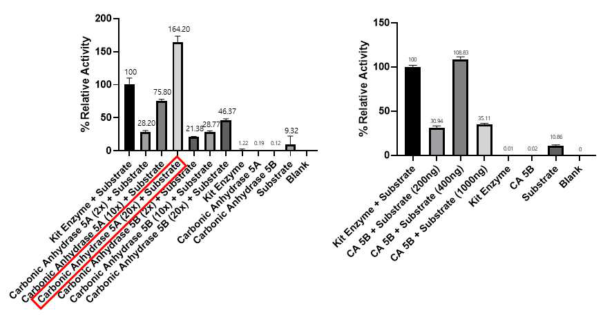 CA5A/B 단백질 농도에 따른 효소 활성 측정