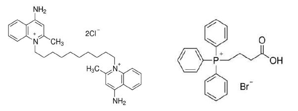 미토콘드리아 표적화 물질인 Dequalinium chloride (DQA)와 Triphenylphosphonium(TPP)